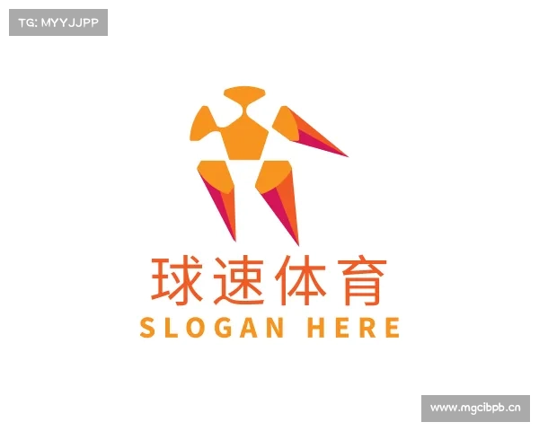 了解球速体育